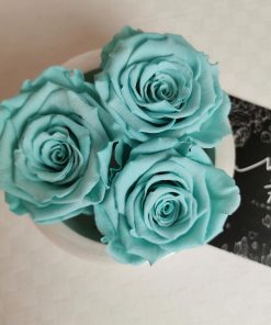 rose stabilizzate